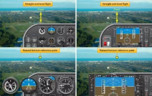 level flight online ground school