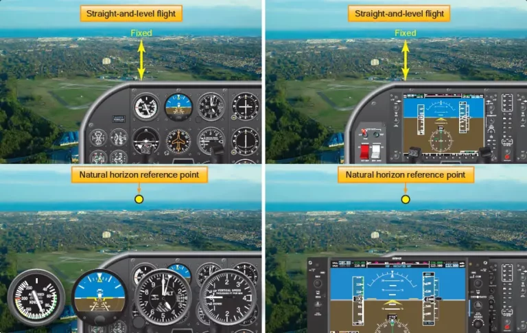 level flight online ground school