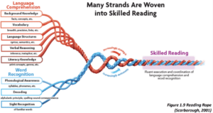 Literacy in Aviation involves the reading rope