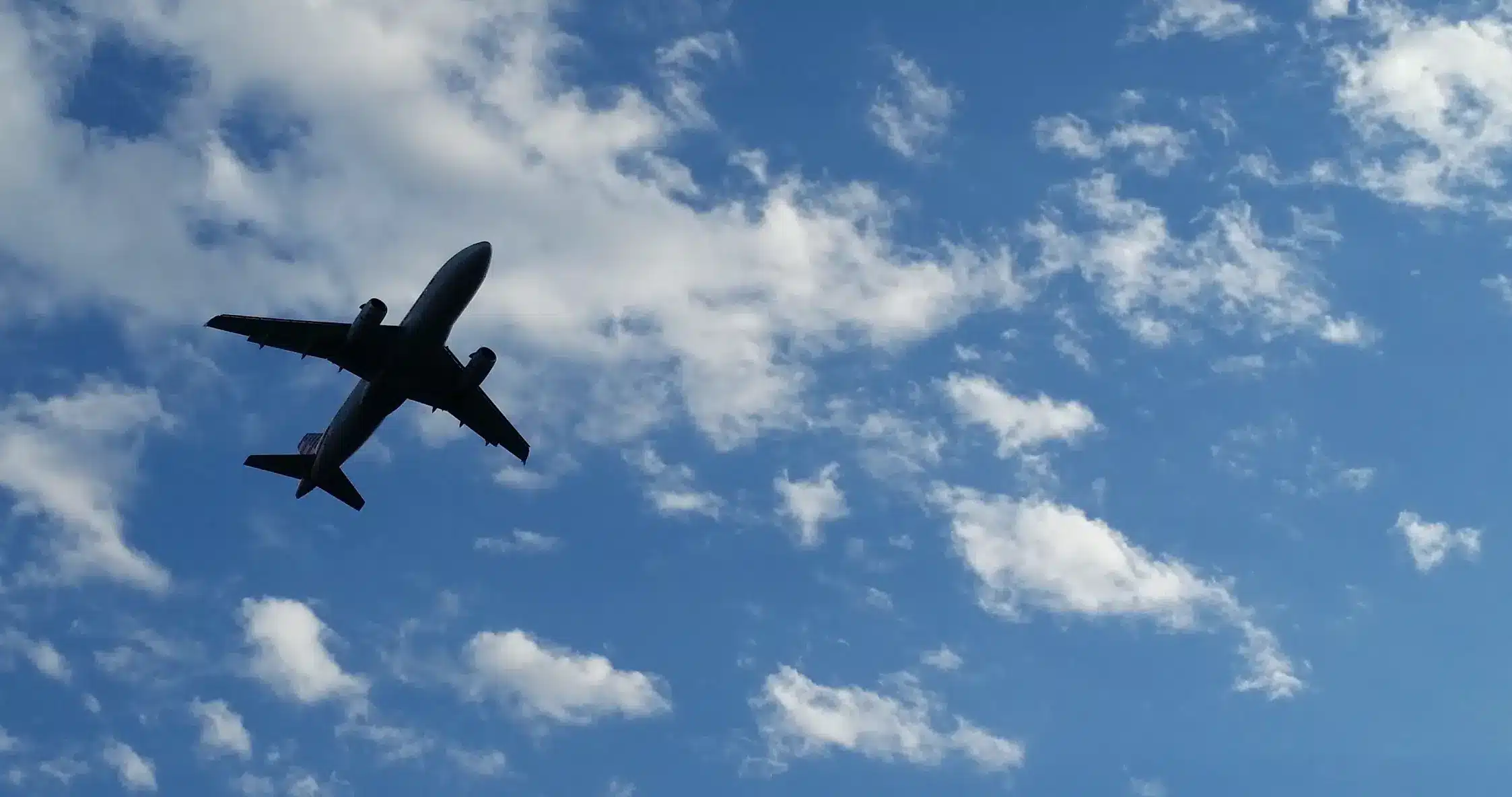 canadian pilot licensing statistics