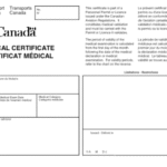what happens at an aviation medical renewal