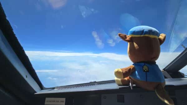 Multi Engine Rating Course - Image 2